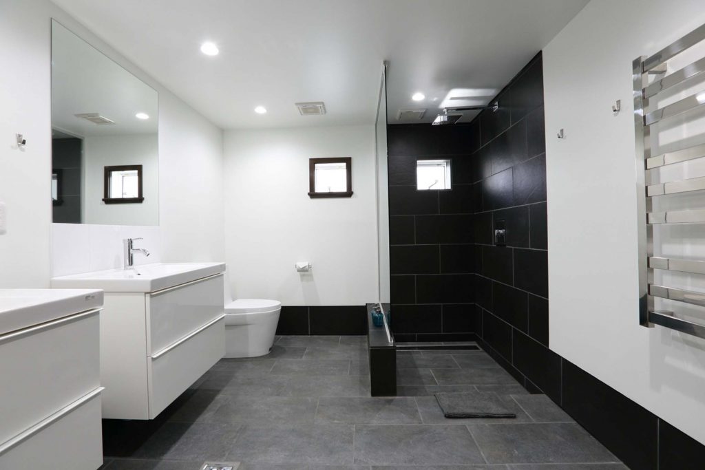 Lower level shower room